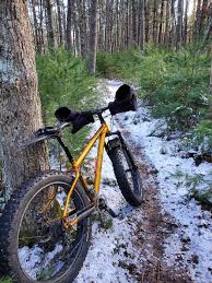 Jul 08, 2021 · when the nintendo switch first launched, there were fewer than a dozen titles available for sale. Environmental Impacts Of Mountain Biking Synopsis Rewilding