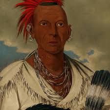 The Falls of St Anthony Painting by George Catlin