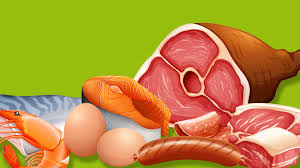 Image result for Protein