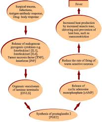 Image result for Postoperative Fever