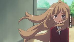 Images are brought to you courtesy of wikipedia and summaries. Toradora Alright Just Finished Another Anime I Cried My Eyeballs Out At The End Do You Know Any Other Great Anime Like This 9gag