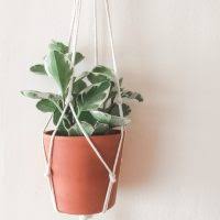 Enjoy your new diy macrame hanging planter! Five Minute Diy Macrame Plant Hanger Xoxojackie Inspiration For Creative Living