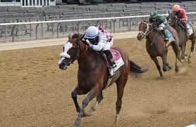 Medina spirit has passed three rounds of prerace drug testing and been cleared to run in the preakness on saturday. Tiz The Law Owners Confident For Travers After Convincing Wins