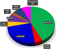 Image result for Microcharis welwitschii