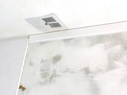 Whether you want inspiration for planning a gray kitchen renovation or are building a designer kitchen from scratch, houzz has 181,284 images from the best designers, decorators, and architects in the country, including masters touch design build and. How To Seamlessly Transition Crown Molding Where Tile Meets The Wall Mold In Bathroom Shower Ceilings Ceiling Trim