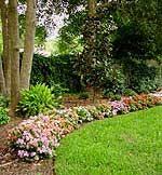 From it's quaint, southern charm to its. Lawn Care Lawn Mowing Lawn Service Lawn Service Beautiful Gardens Lawn