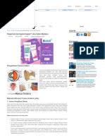 Pengertian Dan Bagian Bagian Panca Indera Manusia Seputarilmu Com Pdf