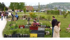 Edition Vesoul Haute Saone Vide Jardin Et Troc Plantes Samedi 20 Avril Avec Le Centre Francoise Giroux