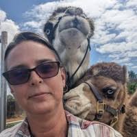 IMC MetalsAmerica Email Format