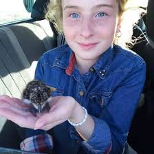 Mario Javier Romanelli (@mariojavierromanelli) • Threads, Say more