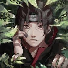 Eden Solomon (edenfsolomon)