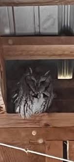 Good morning community! I live