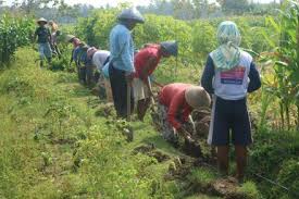 We did not find results for: Sk Lpmd Desa Tirtomulyo Periode 2018 2023 Website Desa Tirtomulyo