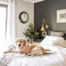 Get design inspiration for painting projects. Sherwin Williams On Twitter Today Of All Days She Deserves A Little Extra Swcolorlove Dontcha Think Yearofthedog Chinesenewyear Littlehouseof4 Iron Ore Sw 7069 Https T Co Podzzu8a5c