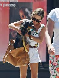Emilia isobel euphemia rose clarke (born 23 october 1986) is a british actress. Emilia Clarke Takes Her Pet Pooch Out For A Walk In London Heat 07 Gotceleb