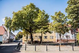 Mannheim Aus Den Stadtteilen Nachrichten Aus Feudenheim Mannheim