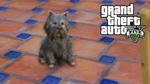 Gta 5 Hunting Rare Dangerous Animals Whales Stingrays Poodles Gameplay Gta V Ps4 Next Gen Dangerous Animals Animals Gta 5