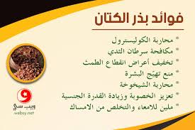 أسرار لاتعرفينها عن بذر الكتان وفوائد علاجية ووقائية وجمالية مدهشة من المعدة إلى شعر الرأس ويب سي