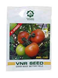 Tomato growers supply company has a catalog of over 600 varieties of fruit and vegetable seeds, including tomatoes, peppers, eggplants, tomatillos, cucumbers, squash. Buy Tomato At Cheapest Price Online India Agrowala Com