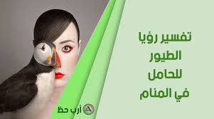 تفسير رؤية الطيور للمرأة الحامل في المنام ارب حظ