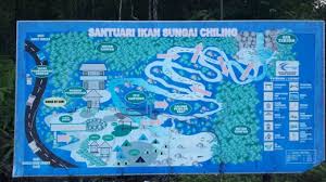 Perjalanan ke lata makau ini agak mencabar kerana anda perlu mendaki dan meredah hutan selama dua — tiga jam untuk sampai ke destinasi. Syok Berlibur Di Sungai Chiling