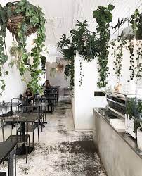 Cafe Plants Cafe Interior Design Cafe Plants Cafe Decor