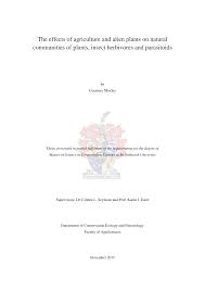 Image result for Decorsea schlechteri