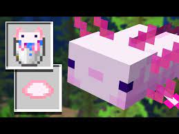 Phineas and ferb pixel art + song by bigcj. What Do Axolotls Eat In Minecraft Everything Players Need To Know