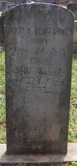 David A Bumgarner (1838-1910)