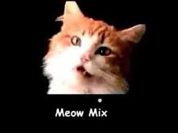 If You Are Happy And You Know It Say Meow Lyrics Purina Meowmix Meow Mix Cat Food Tv Commercials Dancing Cat Meows
