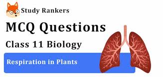 Almost all living cells in a plant have their surfaces exposed to air. Mcq Questions For Class 11 Biology Ch 14 Respiration In Plants