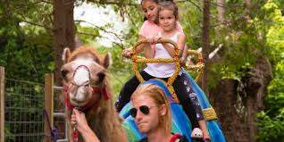 The taps (tragedy assistance program for survivors) good grief camp for children and teens provides support and comfort for children and teens facing the loss of a loved one in military service. Things To Do In Rhode Island Vacation Ideas Activities