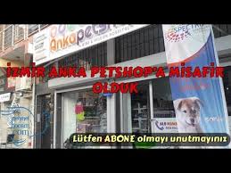 Izmir Anka Petshop Ve Guvercin Malzemeleri Ziyaretimiz Youtube
