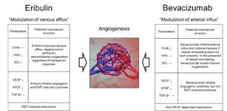 Image result for Eribulin