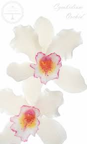 Cymbidium Orchid In Sugar Sugar Flowers Tutorial Sugar Flowers Gum Paste Flowers