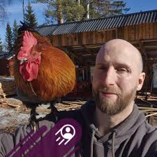 Hi, we bought a 14 plate Skoda Yeti 4x4 diesel several weeks ago but it has  been intermittently 'missing' as if about to stall at times, series of  kangaroo hopping at times