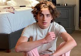 Check spelling or type a new query. Timothee Chalamet Age Girlfriend Height Weight Net Worth