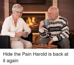 Hide The Pain Harold And Hide The Pain Harold Meme On Me Me