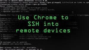 Ssh (secure shell) access is an essential tool for performing server maintenance and administration tasks. How To Use The Chrome Browser Secure Shell App To Ssh Into Remote Devices Null Byte Wonderhowto