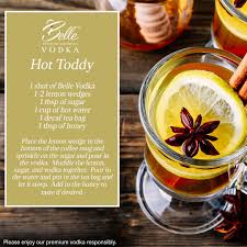 Today Is National Hot Toddy Day So We Decided To Get In The Fun With A Vodka Toddy What Do You Think Vodka Hot Toddy Hot Toddy Premium Vodka