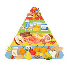 Download Food Pyramid Concept For Free Vector Free Retro Poster Baby Drawing