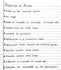 Properties Of Muscles Physical Therapy Student Medicine Notes Nursing Notes