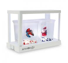 Hello, i'm sonic the betta fish. Betta World Kit De Iniciacion Amazonas Mascotas