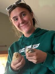 It's chick season!!🐣🐥