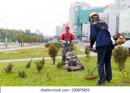 21,207 Man Mows Lawn Images, Stock Photos, and Vectors | Shutterstock