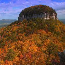 Pilot Mountain Nc Where My Hubby Proposed Very Special Place To Me Pilot Mountain State Park North Carolina Mountains North Carolina Homes