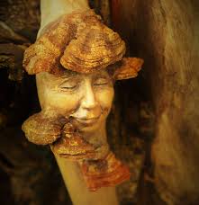 162 Stunning Driftwood Sculptures By Debra Bernier Tell The Forgotten  Stories Of The Ocean