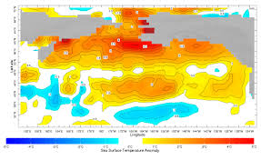 Warm Water Blob Survives As El Niño Dies Alaska Public Media