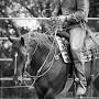 Profile Picture of Shoe-n-R Horsemanship Joshua Rushing - Facebook (@facebook.com) on Google