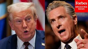 Man Turns Traffic Stop Into Felony Vandalism Charges Making It The Most  Painful Traffic Stops Ever